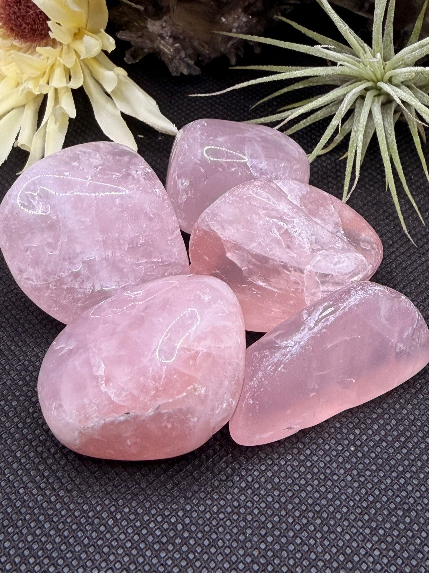 Lg Rose Quartz Tumbles