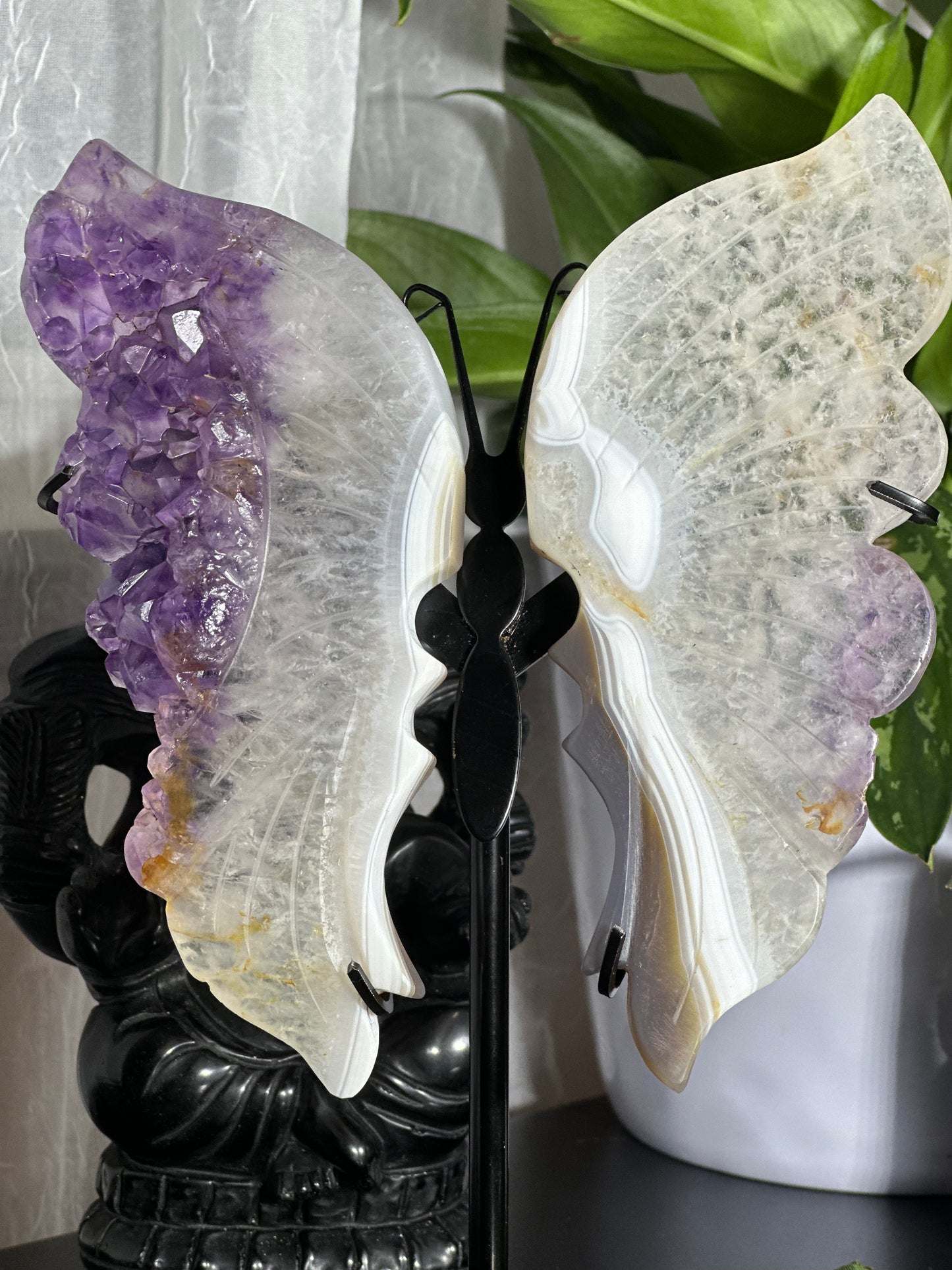 Amethyst Agate Wings