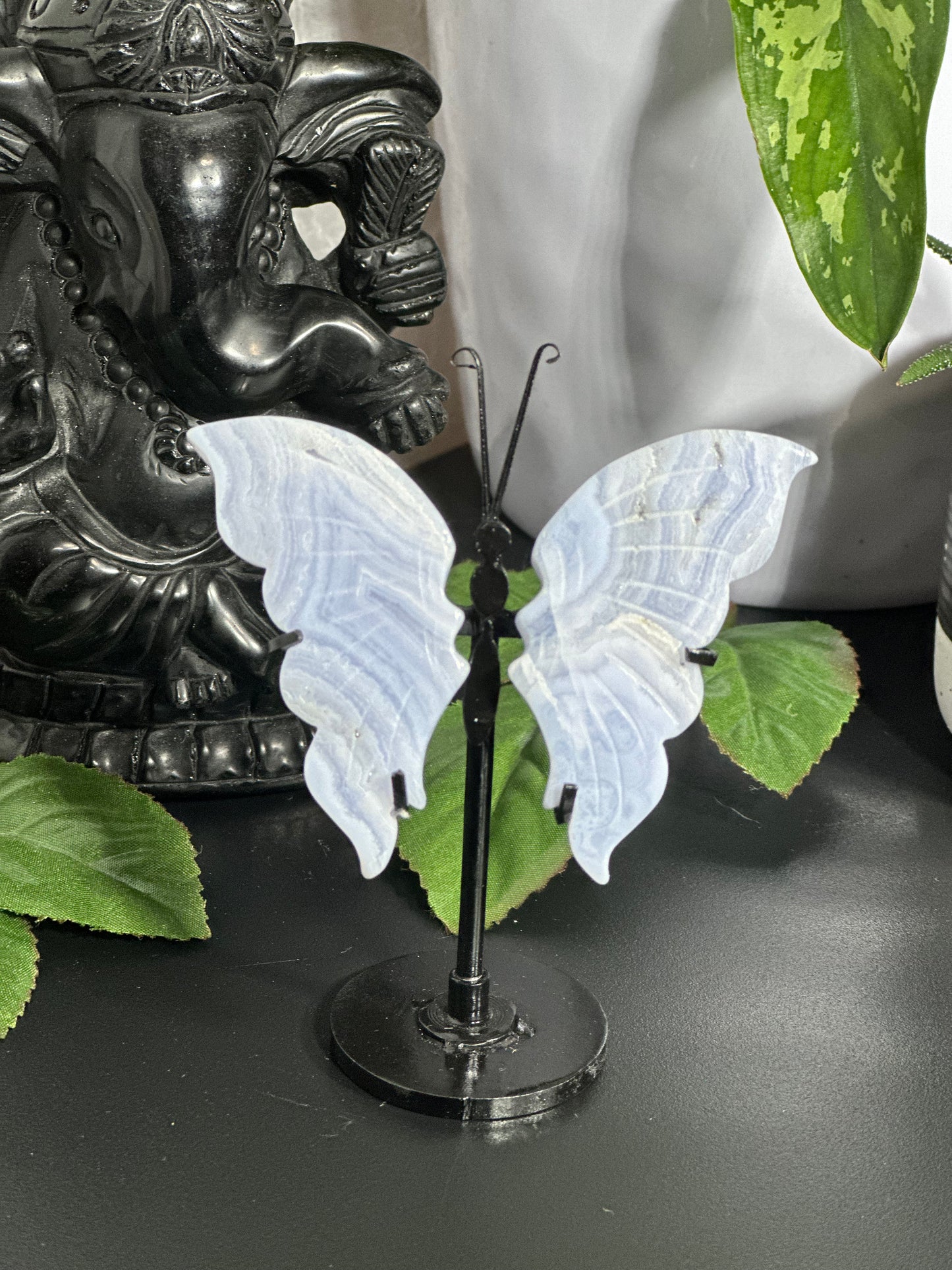 Blue Lace Agate Wings