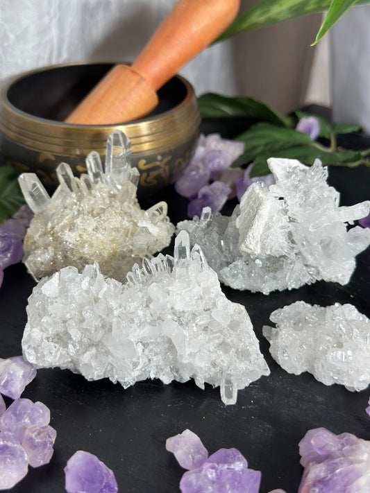 Chrysanthemum Clusters