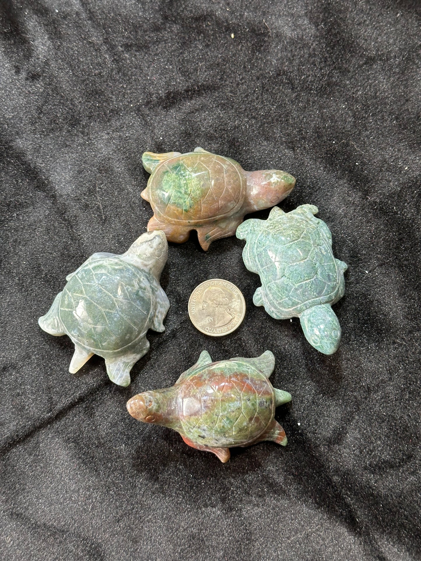 Ocean Jasper Turtles