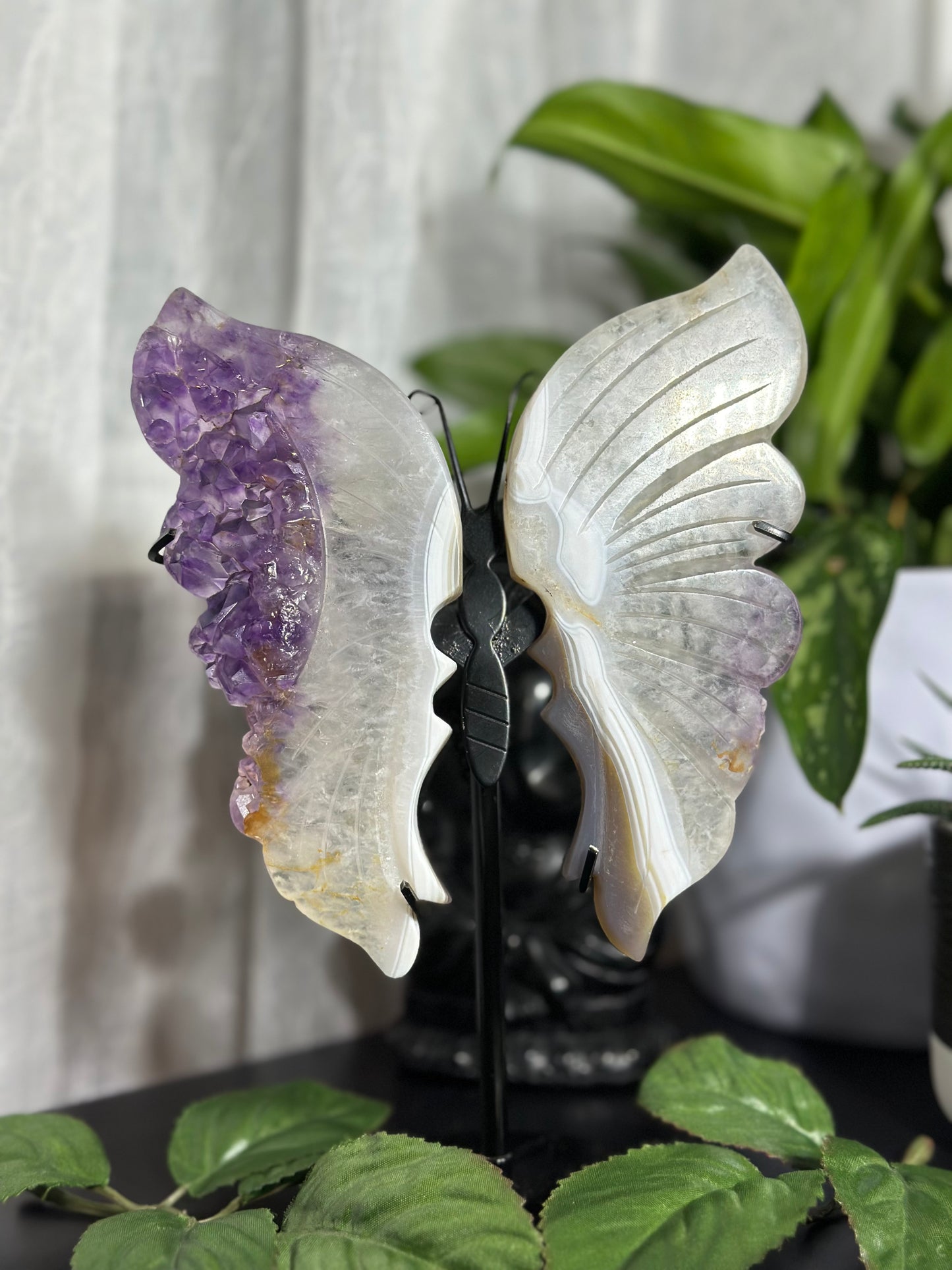 Amethyst Agate Wings