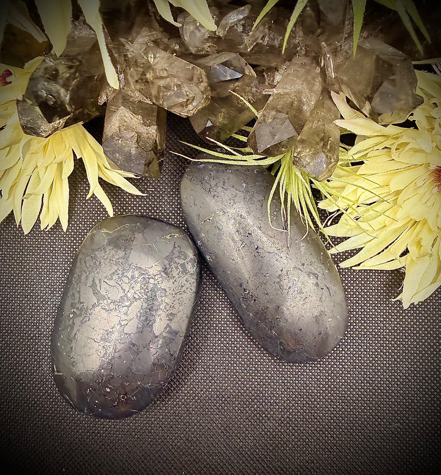 Shunghite Palm Stone