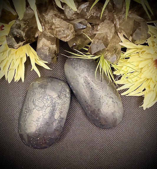 Shunghite Palm Stone