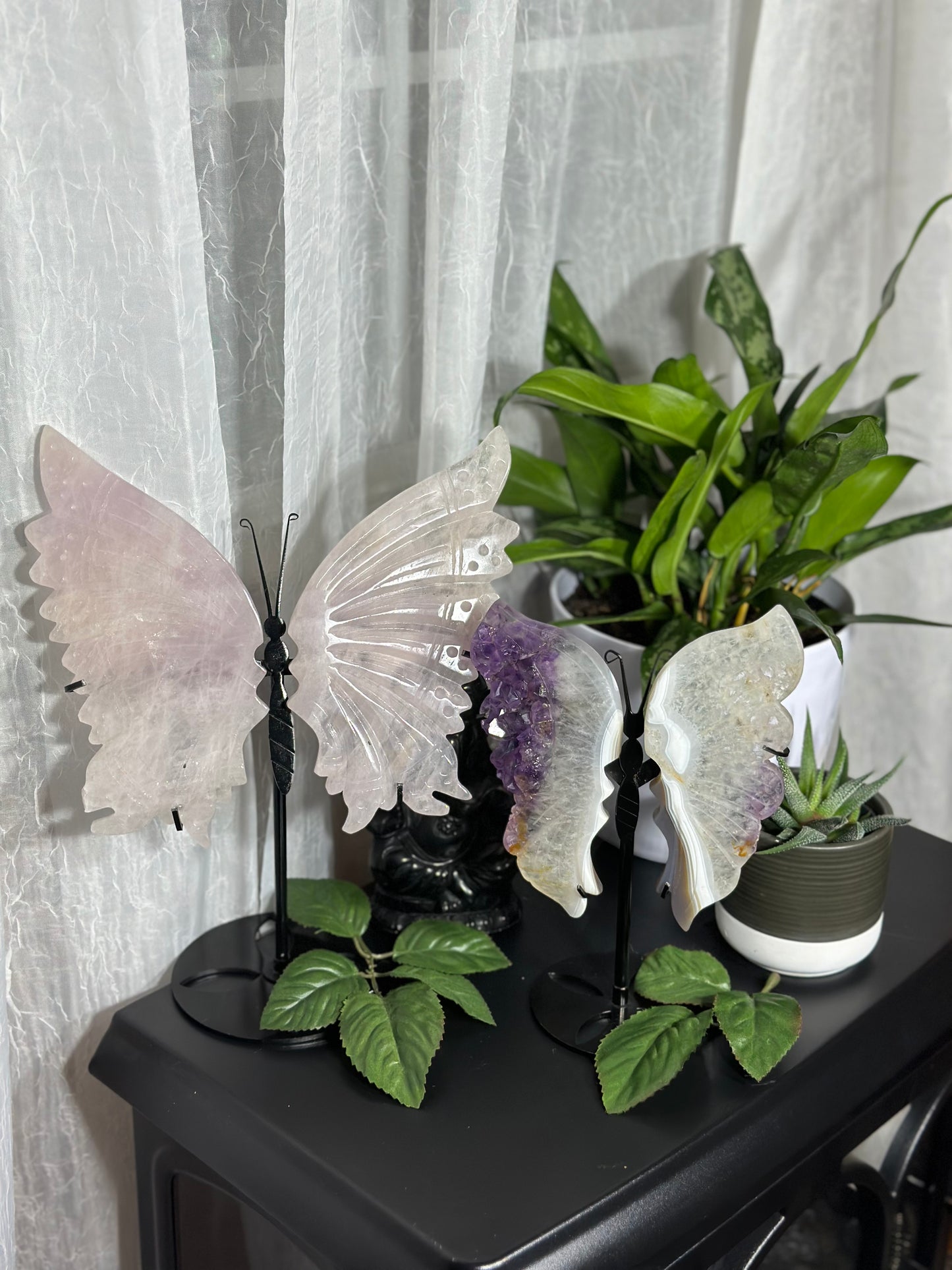 Large Rose Quartz Butterfly Wing