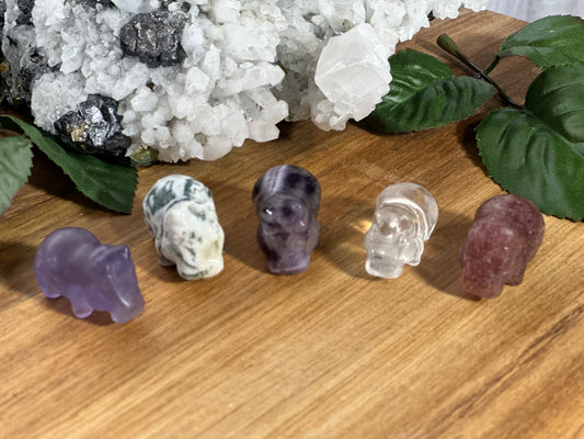 Pocket Hippo (Intuitive Pick)