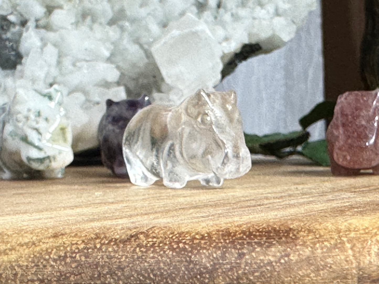 Pocket Hippo (Intuitive Pick)