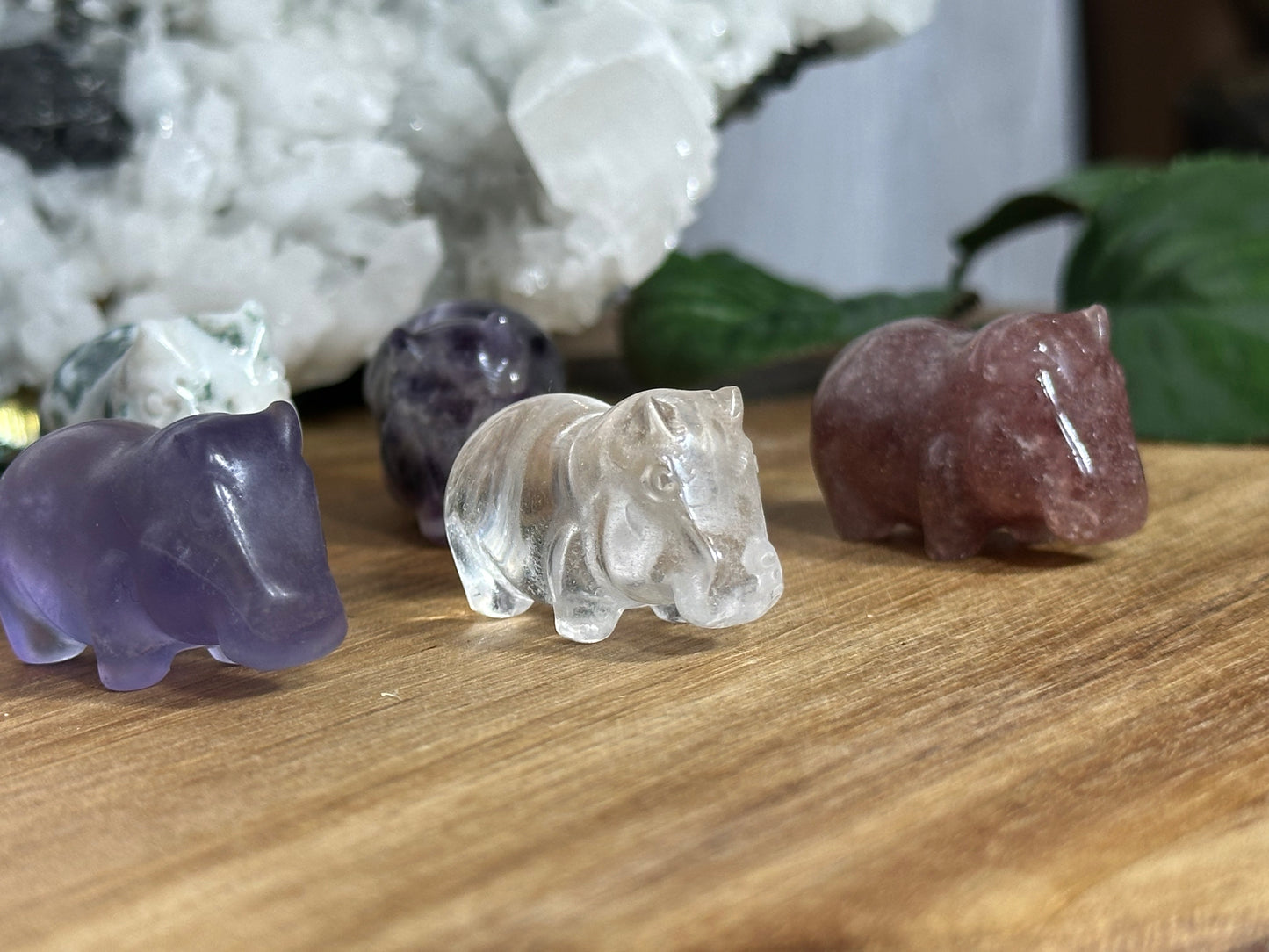 Pocket Hippo (Intuitive Pick)