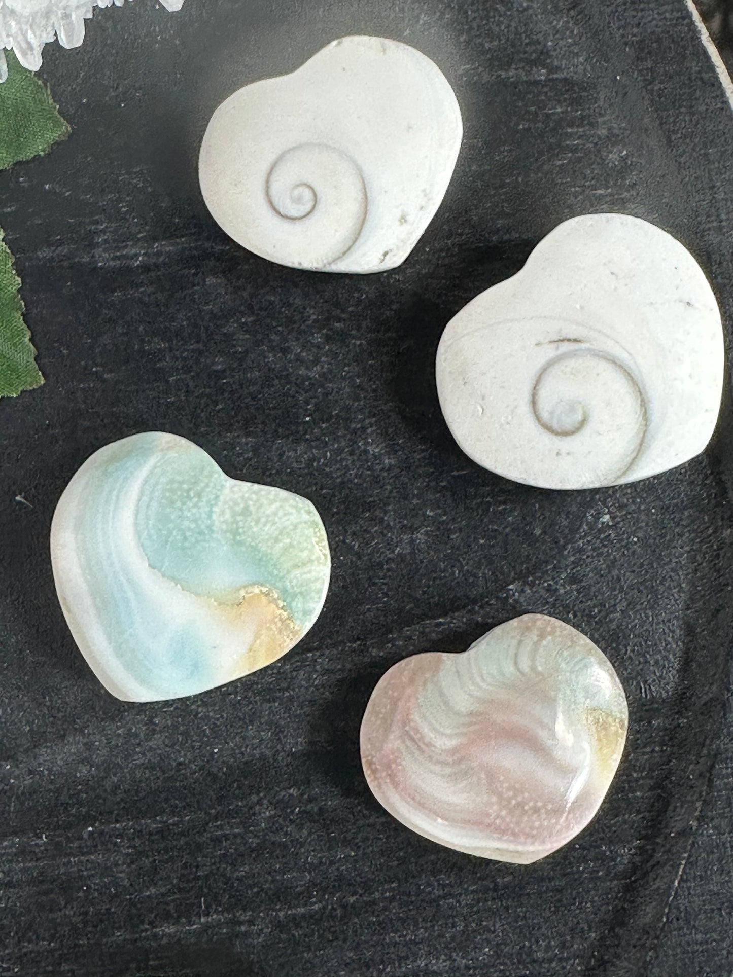 Shiva Shell Heart