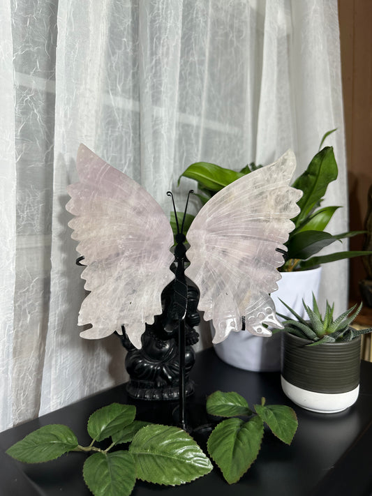 Large Rose Quartz Butterfly Wing