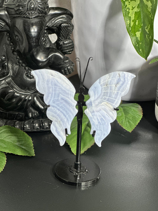 Blue Lace Agate Wings
