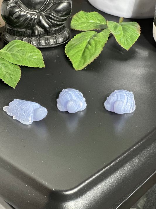 Mini Blue Lace Agate Turtles