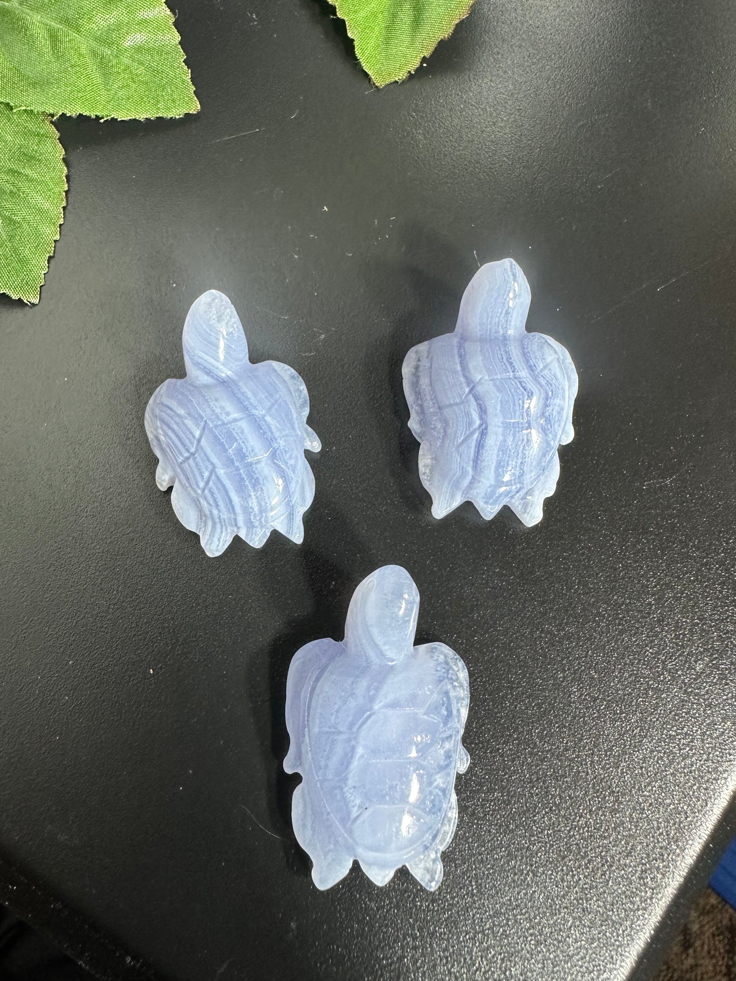 Mini Blue Lace Agate Turtles