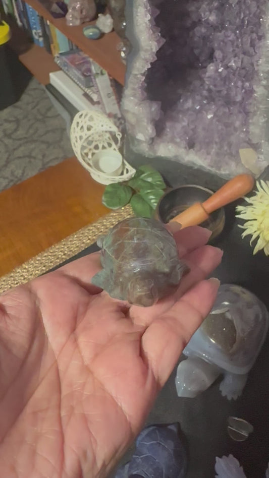 Ocean Jasper Turtles